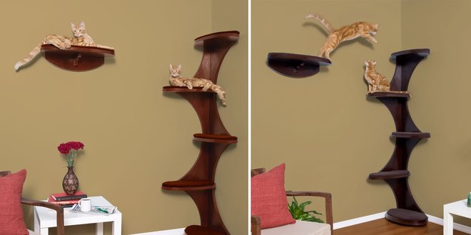 cat tree