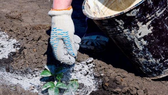 soil improvement